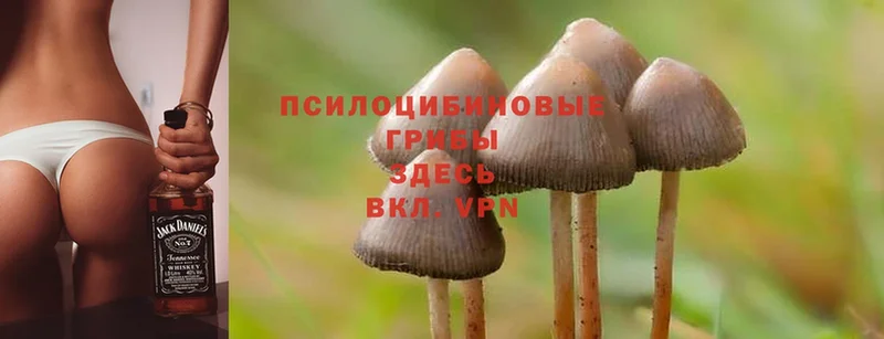 Псилоцибиновые грибы Magic Shrooms  omg зеркало  Еманжелинск  даркнет сайт 